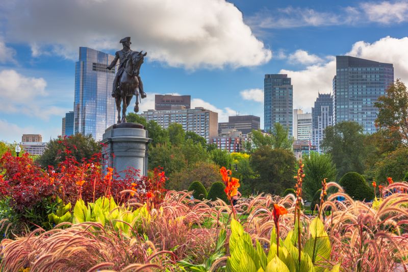 Leaf Removal in Boston, MA