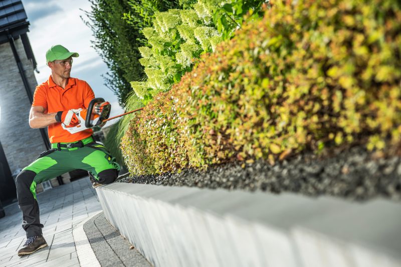 Shrub Trimming For Healthier Growth