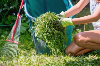 Benefits Of Commercial Leaf Removal