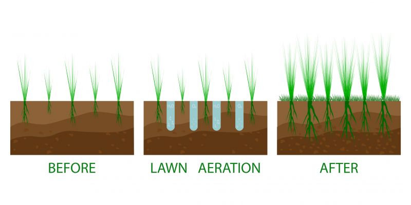 Commercial Lawn Aeration