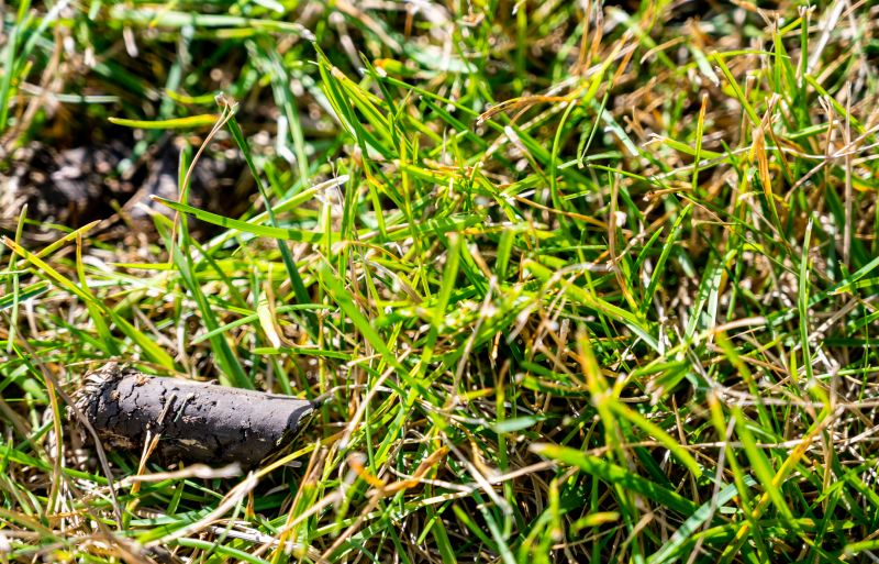 Commercial Lawn Aeration