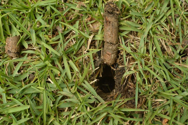Commercial Lawn Aeration