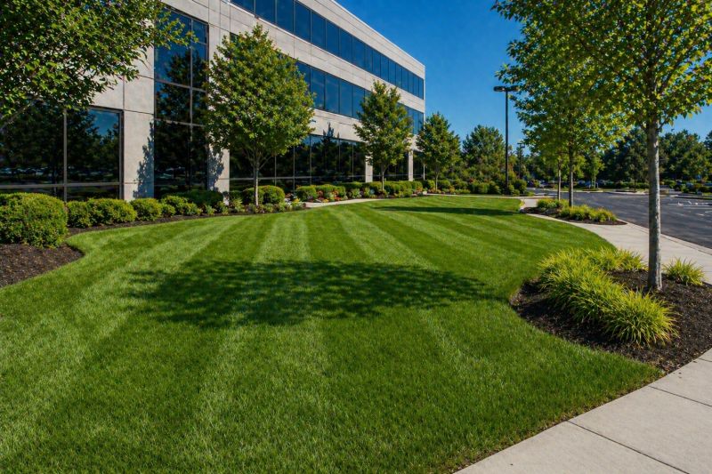 Commercial Lawn Care