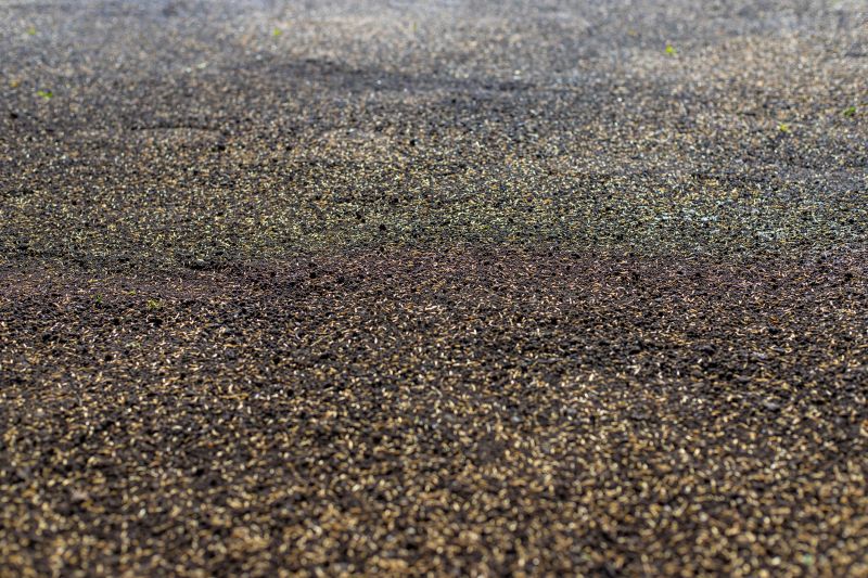 Commercial Lawn Seeding