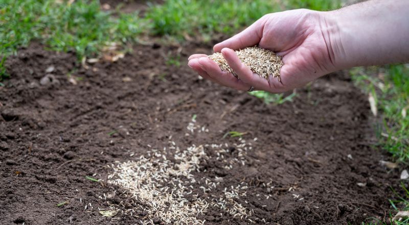Commercial Lawn Seeding