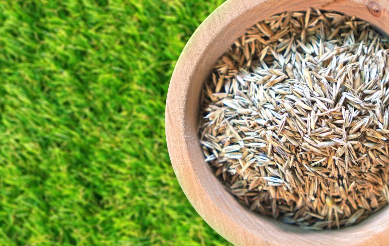 Commercial Lawn Seeding