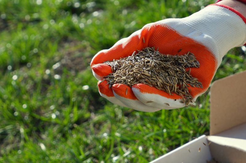 Commercial Lawn Seeding