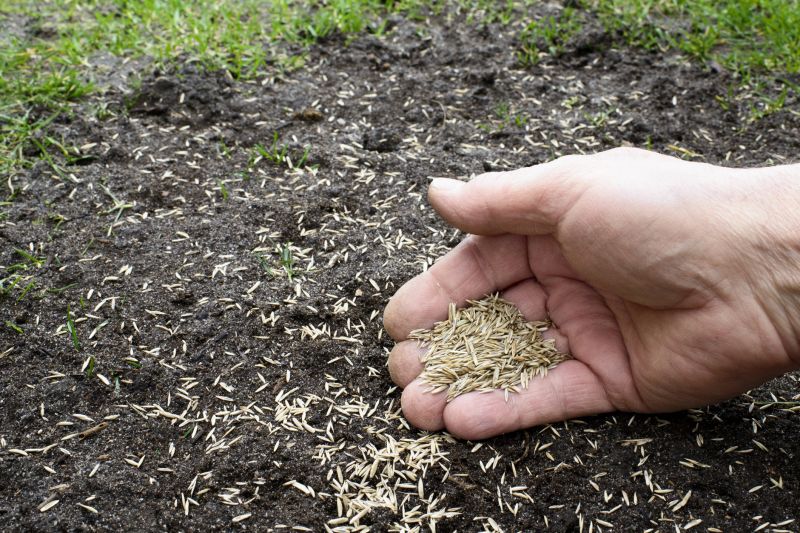 Commercial Lawn Seeding