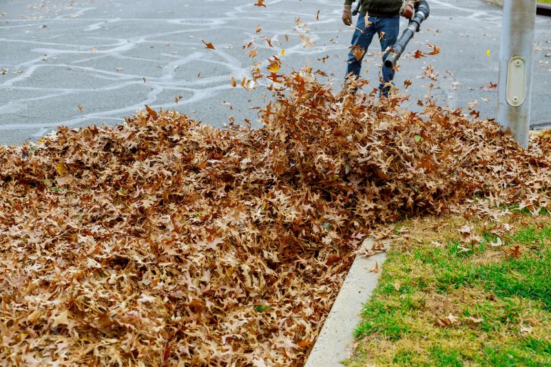 Commercial Leaf Removal