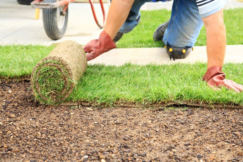 Commercial Sod Installation