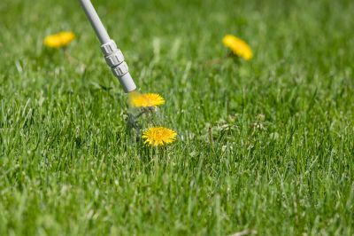 Controlling Weeds Before They Spread