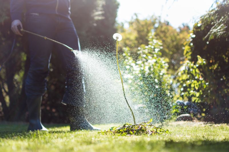 Controlling Weeds Before They Spread