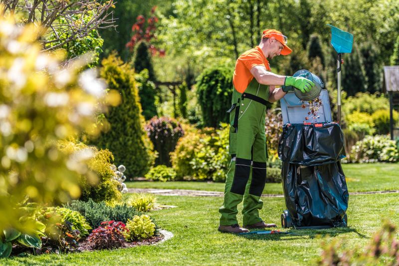 Fall Lawn Cleanup