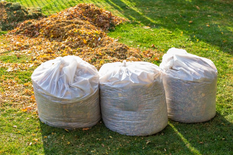 Fall Lawn Cleanup
