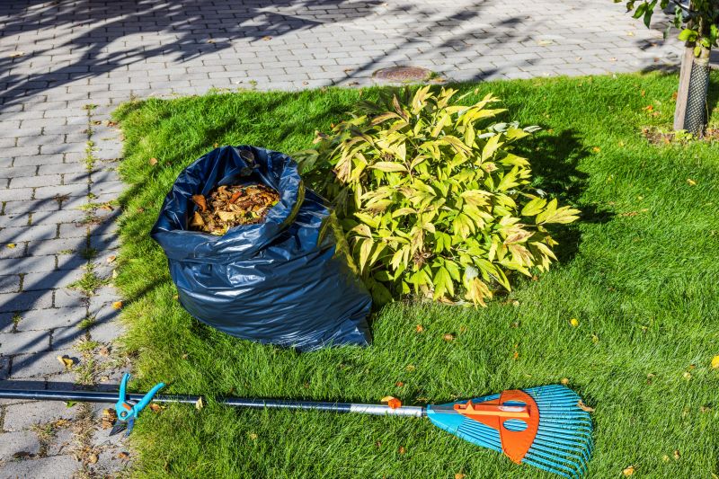 Fall Lawn Cleanup