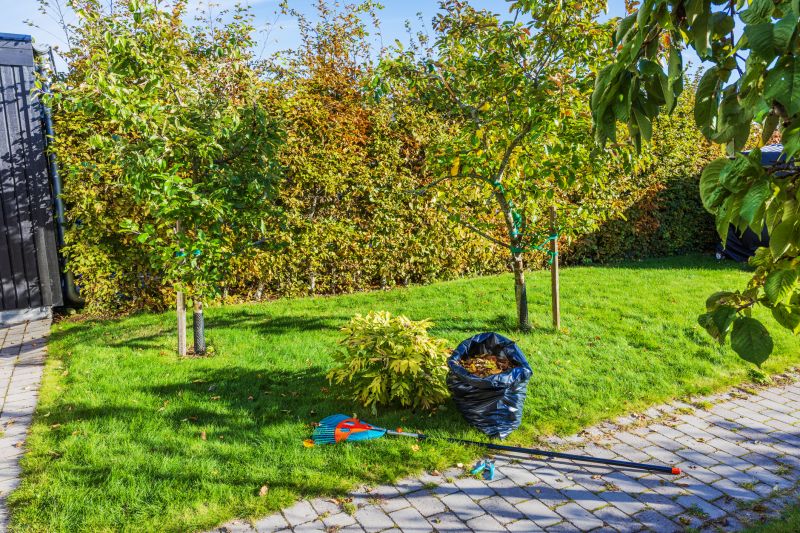 Fall Lawn Cleanup