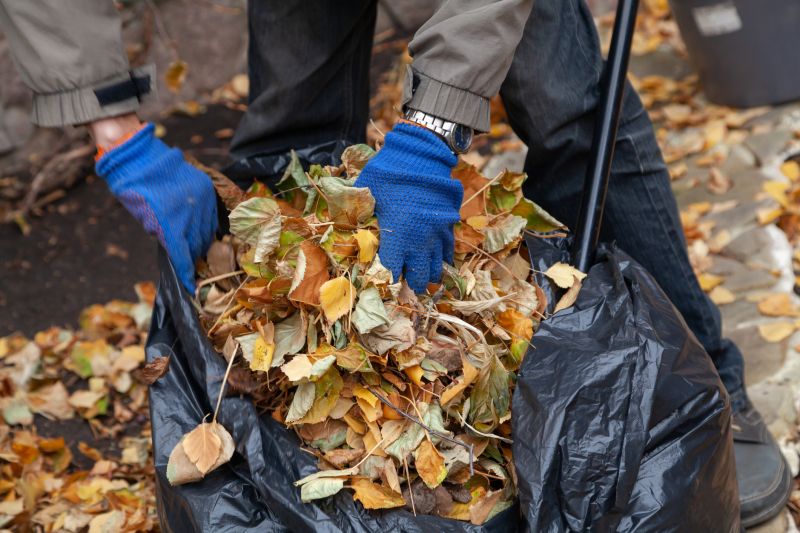 Fall Lawn Cleanup