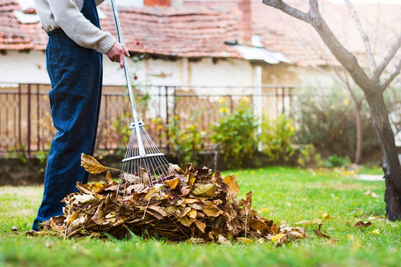 Fall Lawn Cleanup