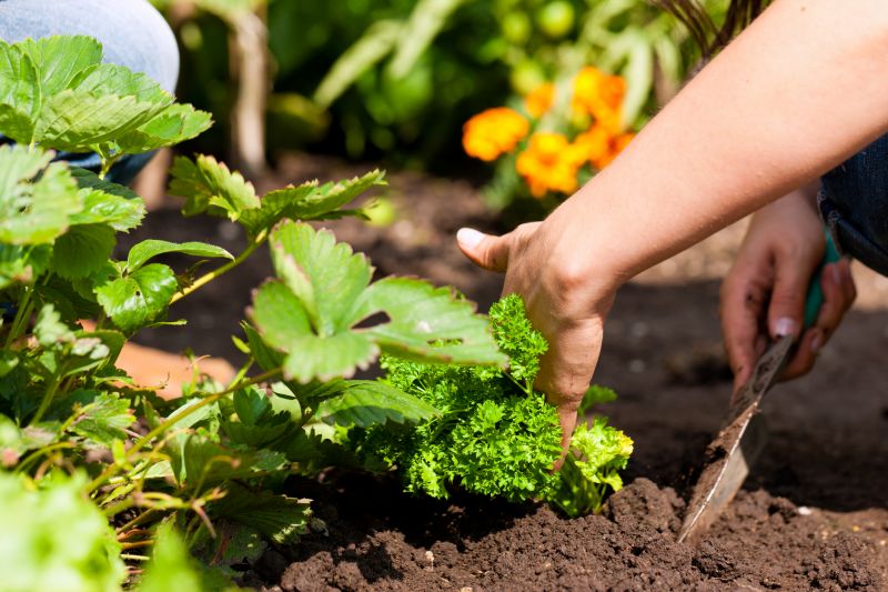 Gardening