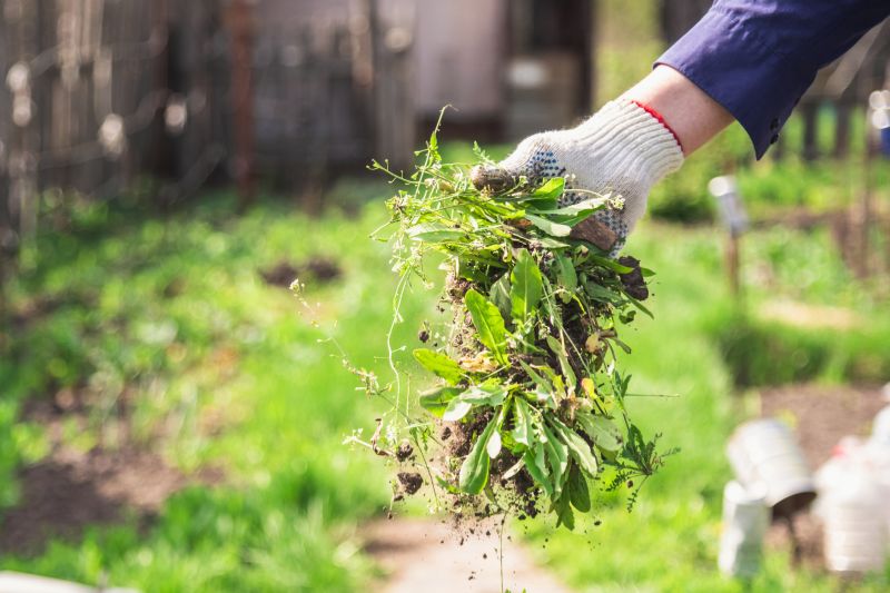 Gardening