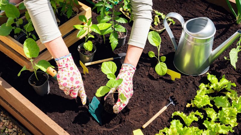 Gardening