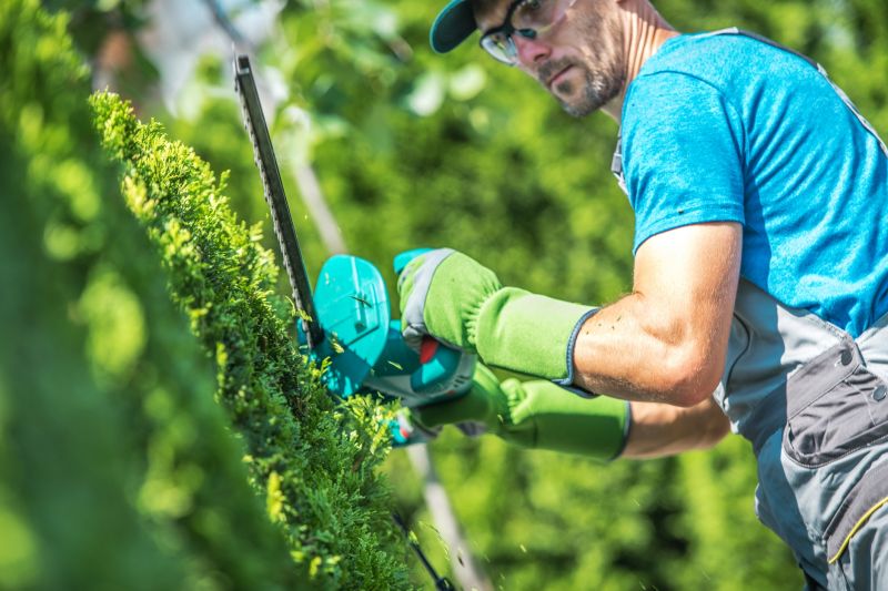 Hedge Trimming