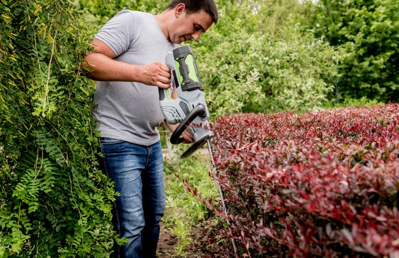 Hedge Trimming