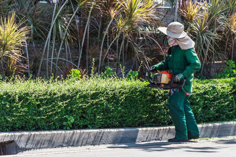 Hedge Trimming