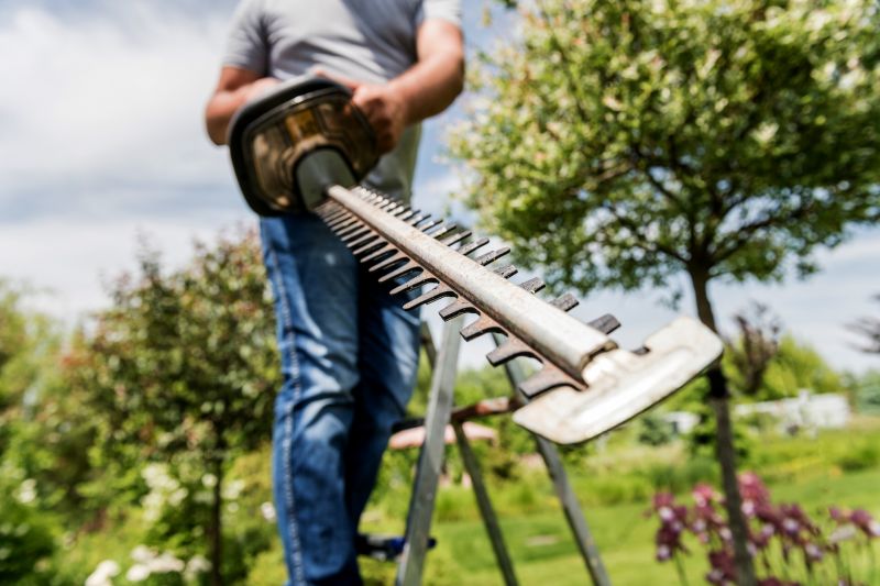 Hedge Trimming