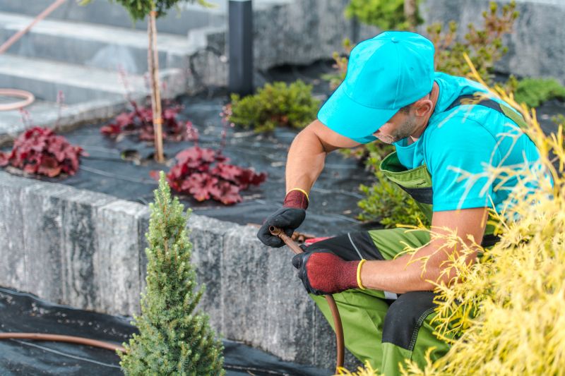 Landscape Repair