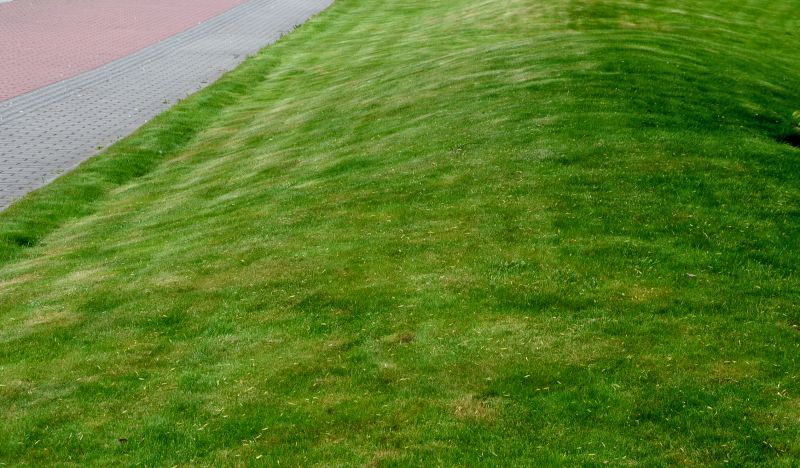 Landscape Repair