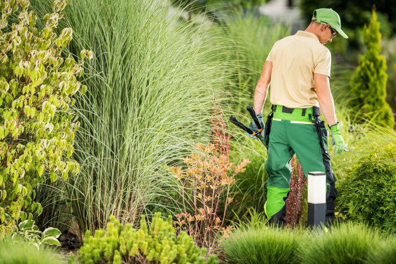 Landscape Repair