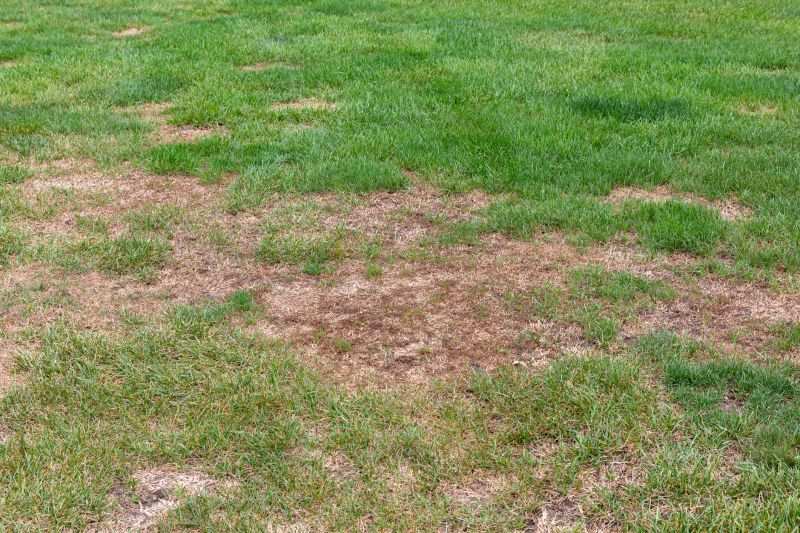 Landscape Repair