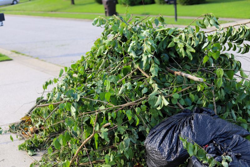 Leaf Removal