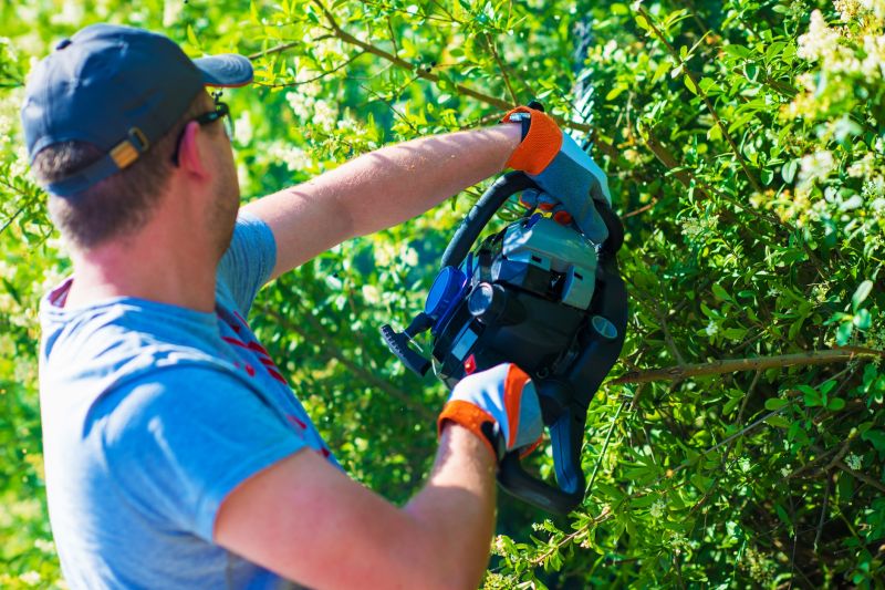Shrub Trimming For Healthier Growth