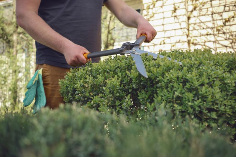 Shrub Trimming For Healthier Growth