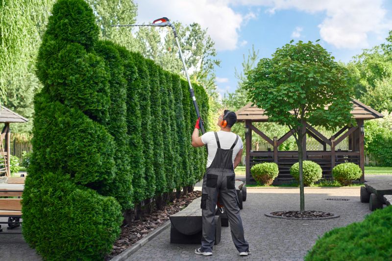 Shrub Trimming For Healthier Growth