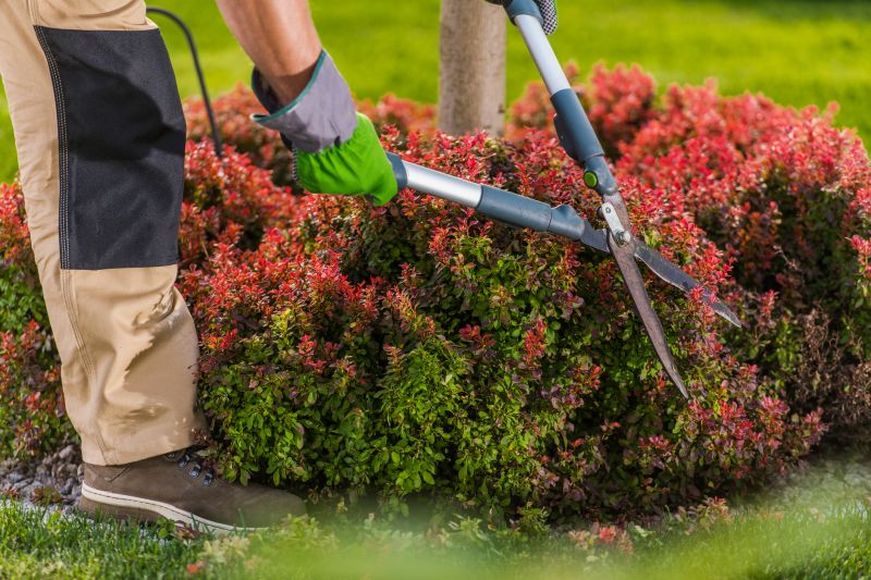 Shrub Trimming