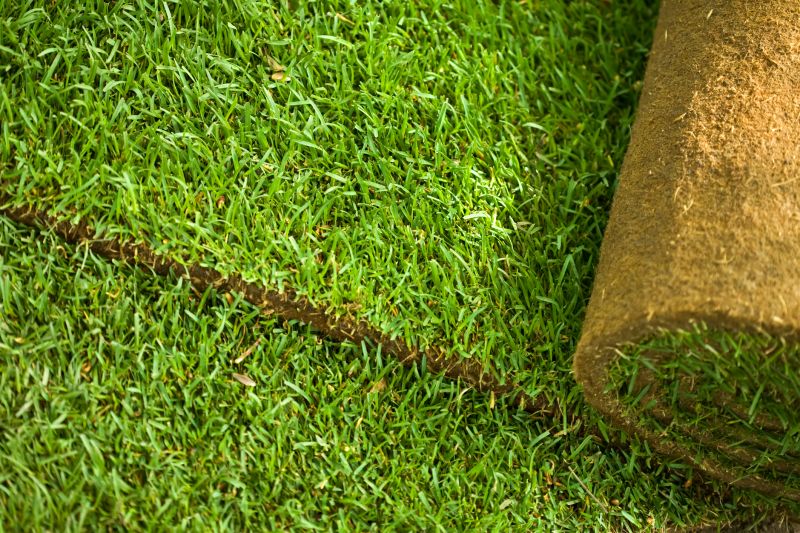 Sod Installation