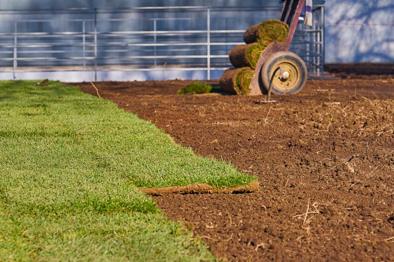 Sod Installation