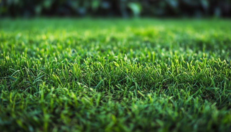 Sod Installation