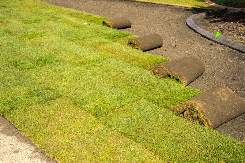Sod Installation