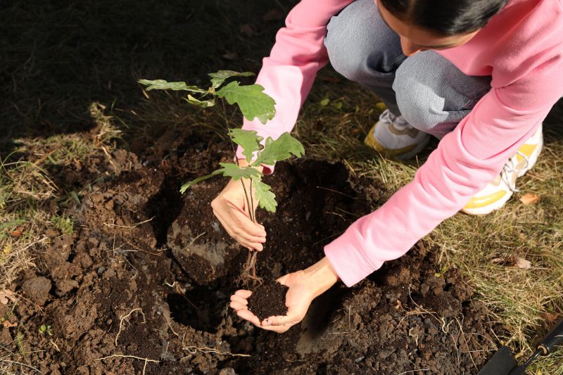 Tree Planting