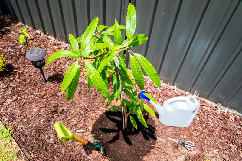 Tree Planting