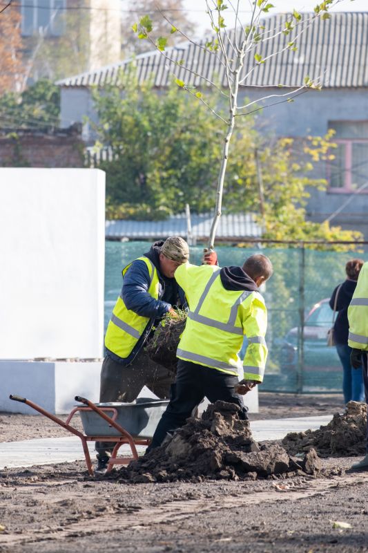 Tree Planting