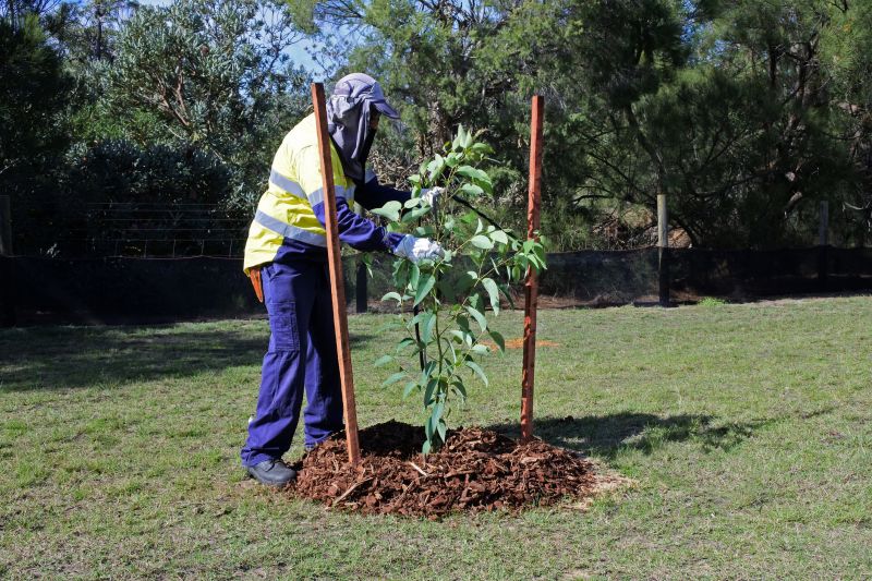 Tree Planting