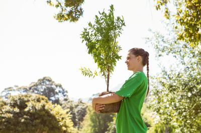 Tree Planting