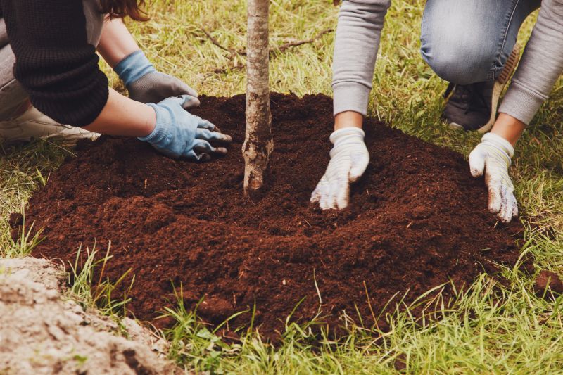 Tree Planting