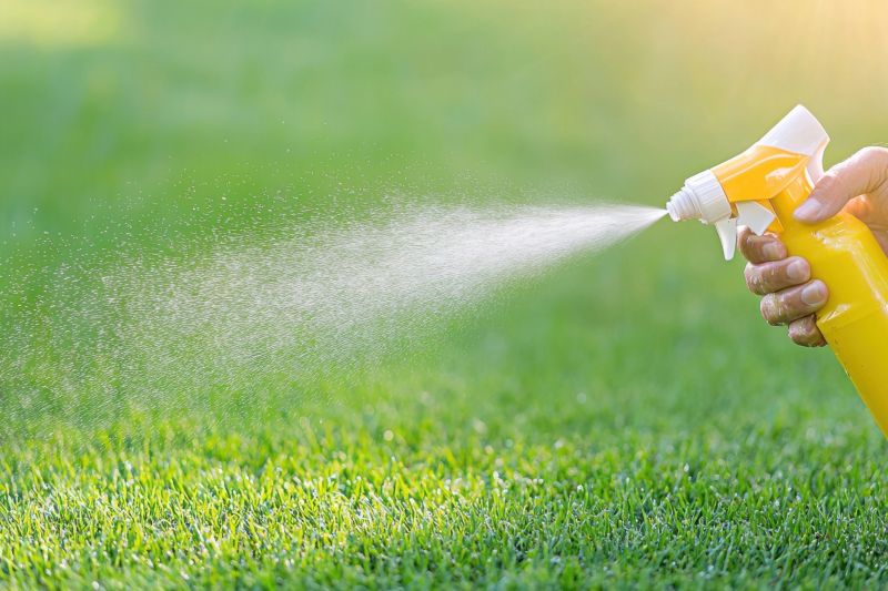 Weed Spraying