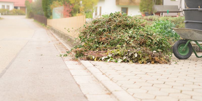 Wood Brush Pile Removal